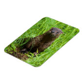 賢い川のオッター マグネット (左側)