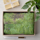 賢い川のオッター 薄葉紙 (ギフト)