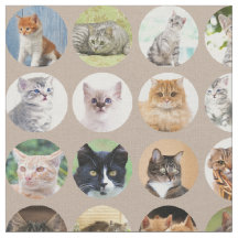 賢い猫生地