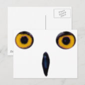賢い老いたフクロウの目 ポストカード (正面/裏面)