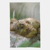 賢い茶色のリス - 森の動物 キッチンタオル (縦)