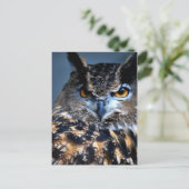 賢い1つの郵便はがき ポストカード (スタンド正面)