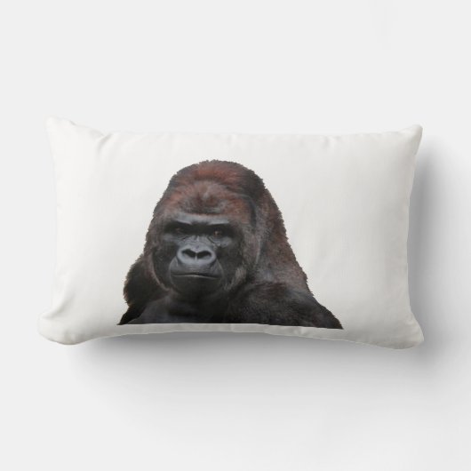 賢い1つ ランバークッション (正面)