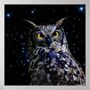 賢く古いフクロウおよび星 ポスター