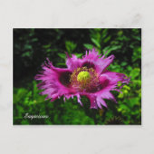 賢明なPC ポストカード (正面)