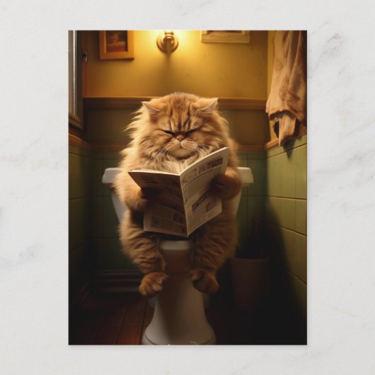 賢者の聖域 | デイリーダイジェスト ポストカード (正面)