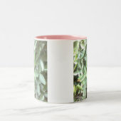 質の写真のマグ ツートーンマグカップ (中央)