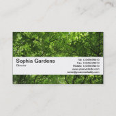 質バンドV2 -森林おおい 名刺 (裏面)