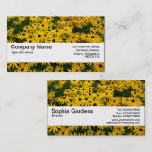 質バンドV2 -黒目のSusans 名刺 (正面/裏面)