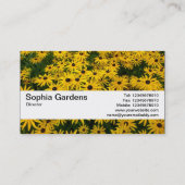 質バンドV2 -黒目のSusans 名刺 (裏面)