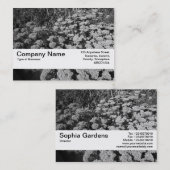 質バンドV2 - Sedum "秋喜び" 名刺 (正面/裏面)