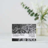 質バンドV2 - Sedum "秋喜び" 名刺 (スタンド正面)