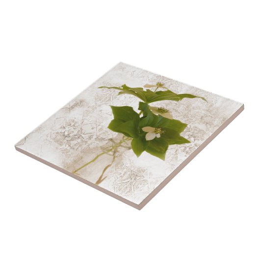 質感のあるドッグウッドのバンチベリーの瓶の静物生活 タイル (側面)