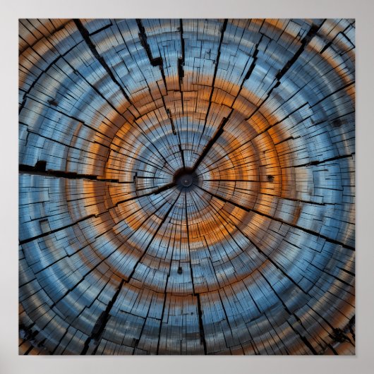 質感のある木目 – 木芸術的のリングや輪クローズアップ ポスター (正面)