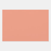 質感のある珊瑚「心地よい珊瑚人気がある」。 ラッピングペーパーシート (正面3)