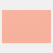 質感のある珊瑚「心地よい珊瑚人気がある」。 ラッピングペーパーシート (正面2)