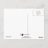 質量上昇バルーン ポストカード (裏面)