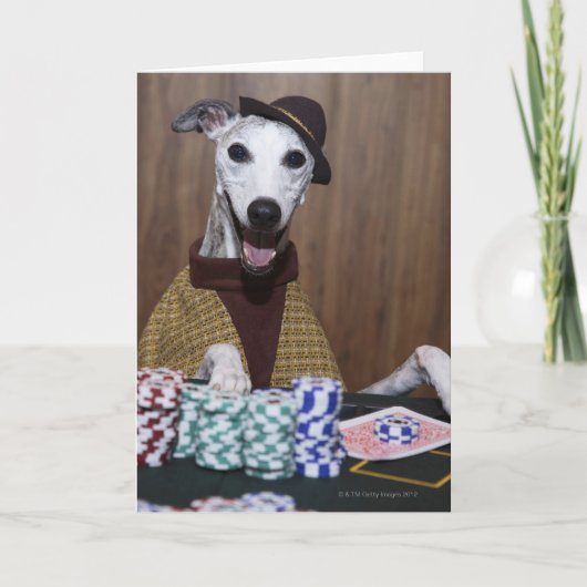 賭博のテーブルのWhippet服を着せられた犬 カード (正面)
