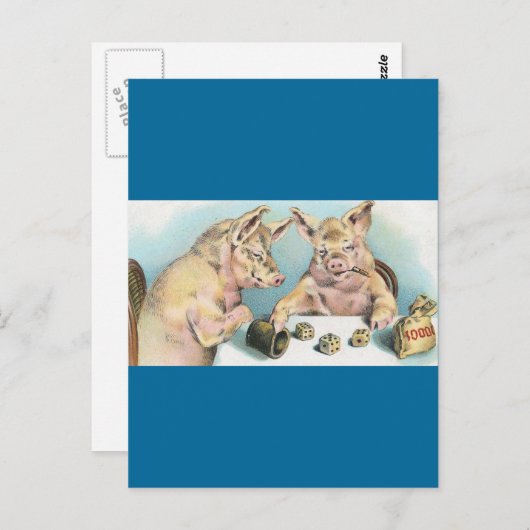 賭博豚 ポストカード (正面/裏面)