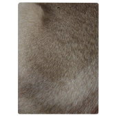 贅沢なシールポイントシャム猫の毛皮の一見 クリップボード (裏面)