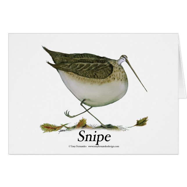 、贅沢なfernandes狙撃して下さい (正面横)