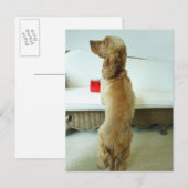 贈り物と一緒にソファに立っている犬 ポストカード (正面/裏面)