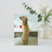 贈り物と一緒にソファに立っている犬 ポストカード (スタンド正面)