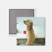 贈り物と一緒にソファに立っている犬 マグネット (正面/裏面)