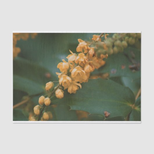 贈り物のための美しいフローラの花のティッシュペーパー 薄葉紙 (正面)