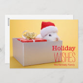 贈包まれたり物とサンタのウサギ シーズンカード (正面/裏面)