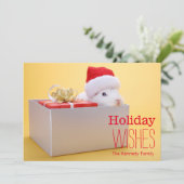 贈包まれたり物とサンタのウサギ シーズンカード (スタンド正面)