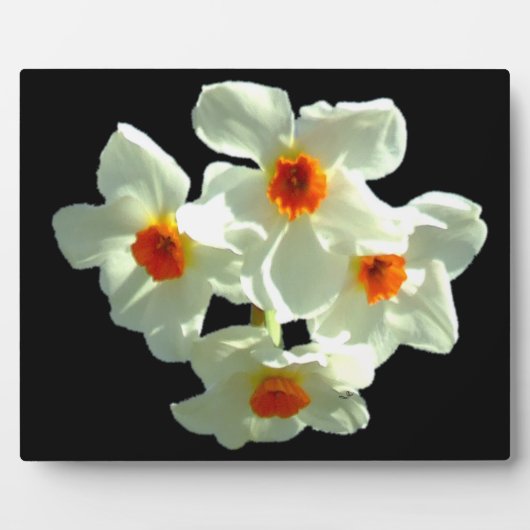 贈答品に水仙の花が フォトプラーク (正面)