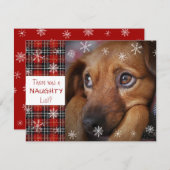 赤いいけな格子状の雪片の挨拶をカスタム一覧 シーズンカード (正面/裏面)