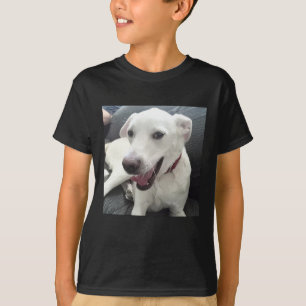 赤いおもしろい襟の休日を着た笑顔の犬の写真 Tシャツ