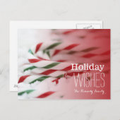 赤いおよび緑キャンディ・ケーン シーズンポストカード (正面/裏面)