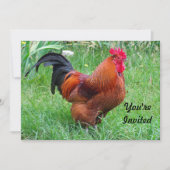 赤いかわいらしチキンのプロフィール写真誕生日 招待状 (正面)