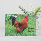 赤いかわいらしチキンのプロフィール写真誕生日 招待状 (スタンド正面)
