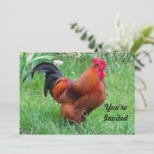 赤いかわいらしチキンのプロフィール写真誕生日 招待状 (スタンド正面)