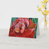 赤いかわいらしチューリップと聖なる書物、 経典カード カード (黄色い花)