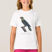 赤いくちばしのオウム / 赤嘴鹦鹉 Tシャツ (正面)