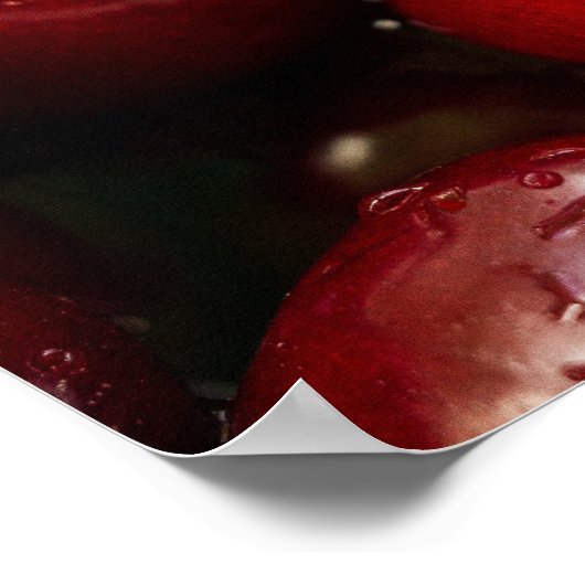 赤いさくらんぼ写真 ポスター (角)