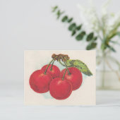 赤いさくらんぼ ポストカード (スタンド正面)