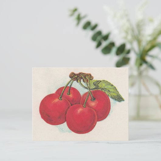 赤いさくらんぼ ポストカード (スタンド正面)