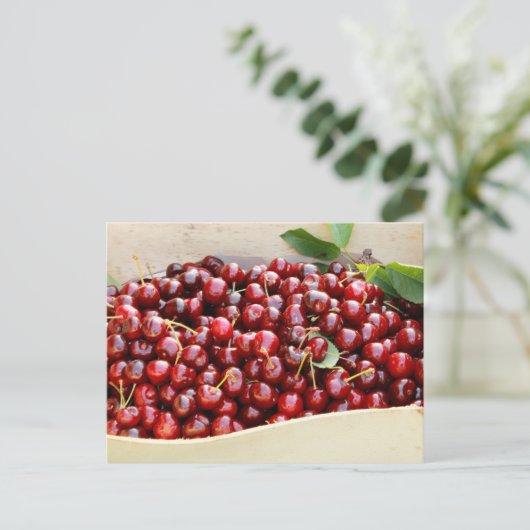 赤いさくらんぼ ポストカード (スタンド正面)