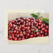 赤いさくらんぼ ポストカード (正面/裏面)