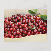 赤いさくらんぼ ポストカード (正面)