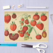 赤いちごエフエマデクページ 薄葉紙 (クラフト)