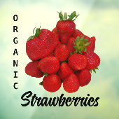 赤いちごオーガニック写真機 ウィンドウサイン (シート3)