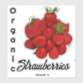 赤いちごオーガニック写真機 シール (シート)