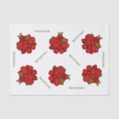 赤いちご 薄葉紙 (正面)